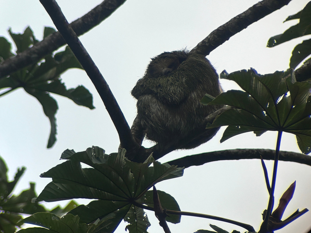 NexusTours-圣何塞必去景点