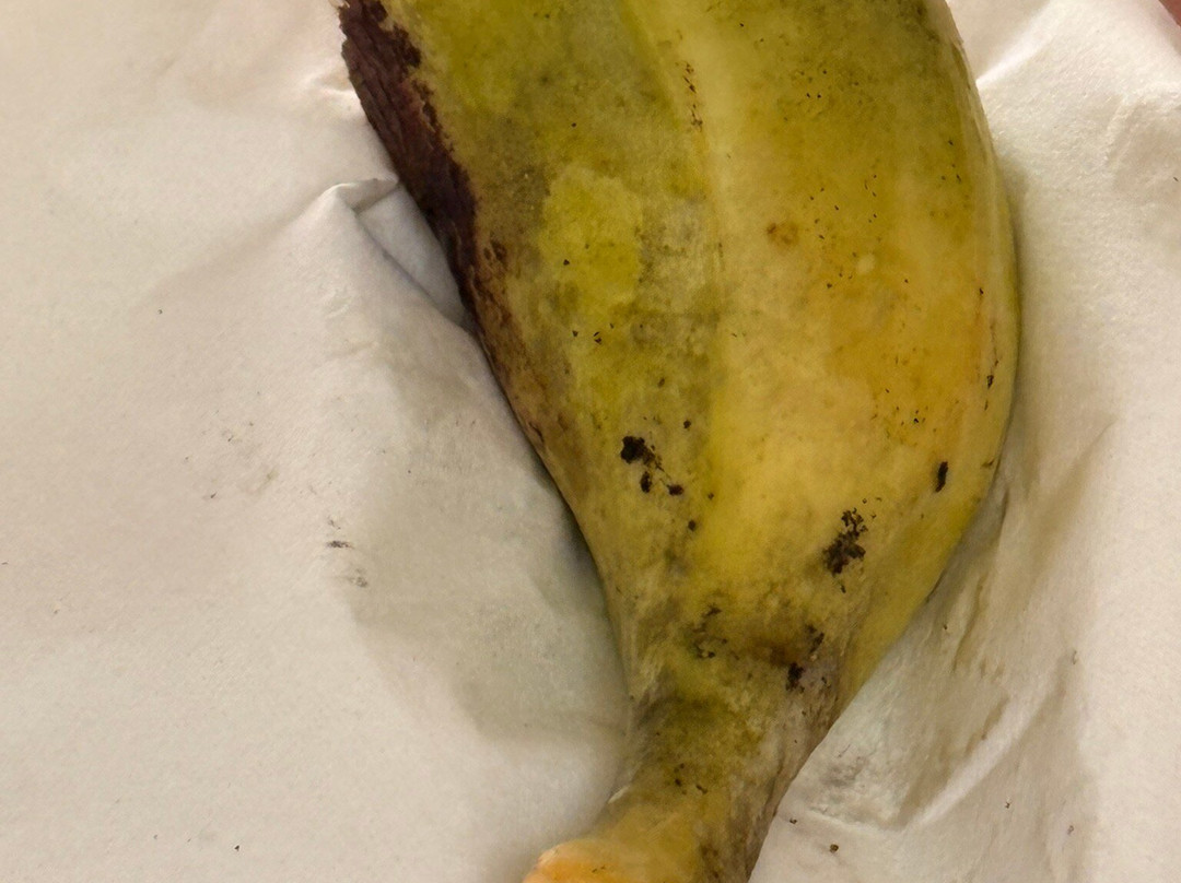 Tortuguero Canal-利蒙港必去景点