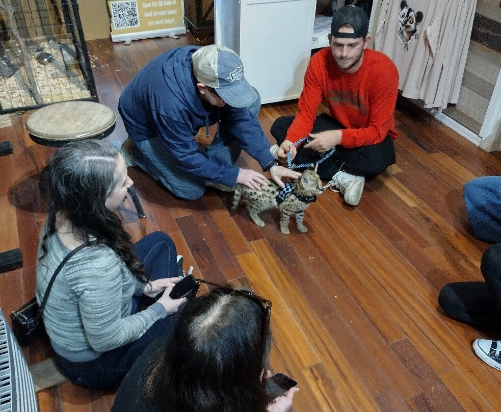 Chase Animal Rescue And Sanctuary-Webster必去景点