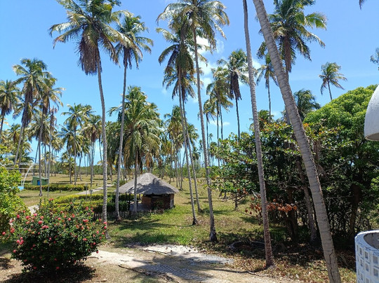 Hotel D'Anatureza主图