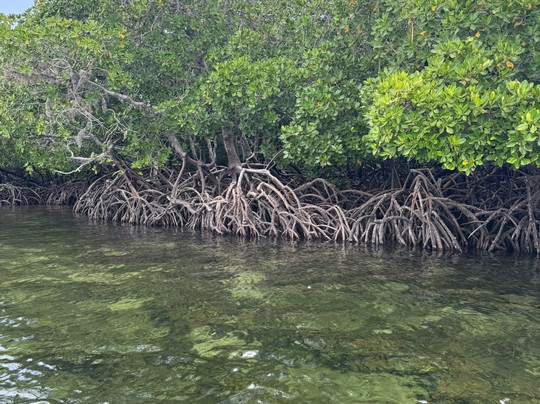 Safari e escursioni in kenya con Charo John-瓦塔木必去景点