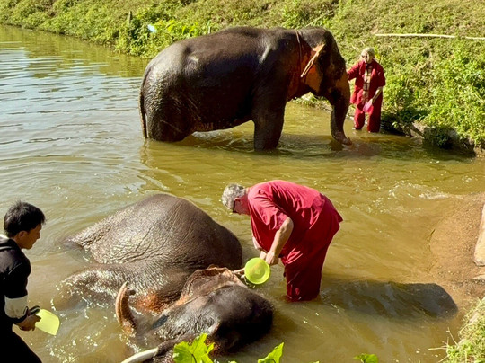 大象生态公园-清迈必去景点