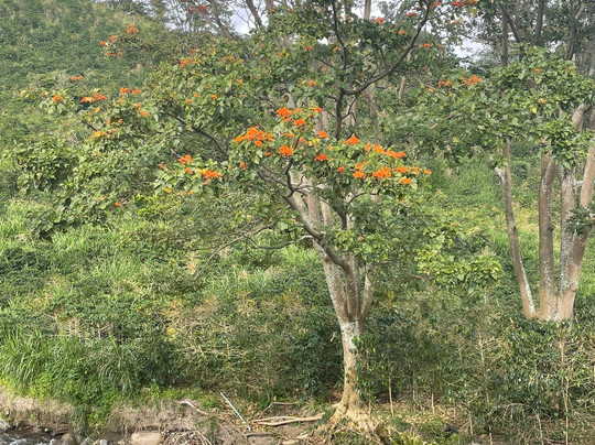 Hotel Valle del Rio主图