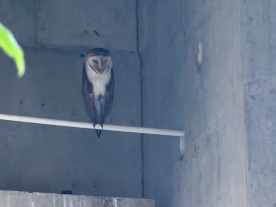 Sierpe Outfitters-Sierpe必去景点