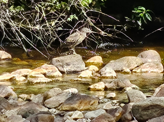 Restorant y saltos Lancuyen-Hornopiren必去景点