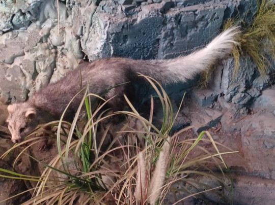 Interpretation Centre & Blyde Museum-Moremela必去景点