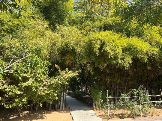 The Pugmark Resort主图