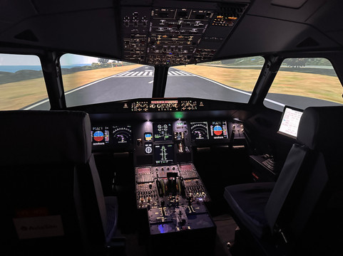 AviaSim Lyon-Villeurbanne必去景点