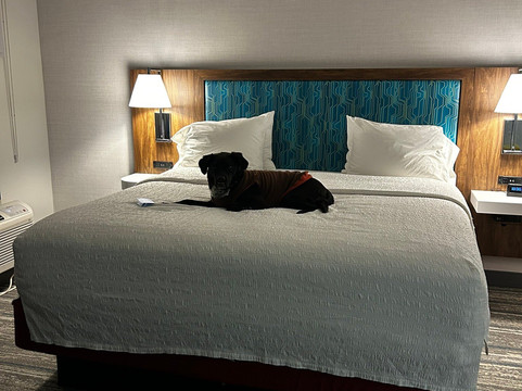 希尔顿欢朋酒店-坎顿主图