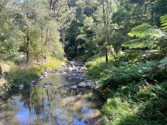 Strzelecki Trail Route 94-Tarra Valley必去景点