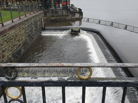 Roath Park-卡迪夫必去景点