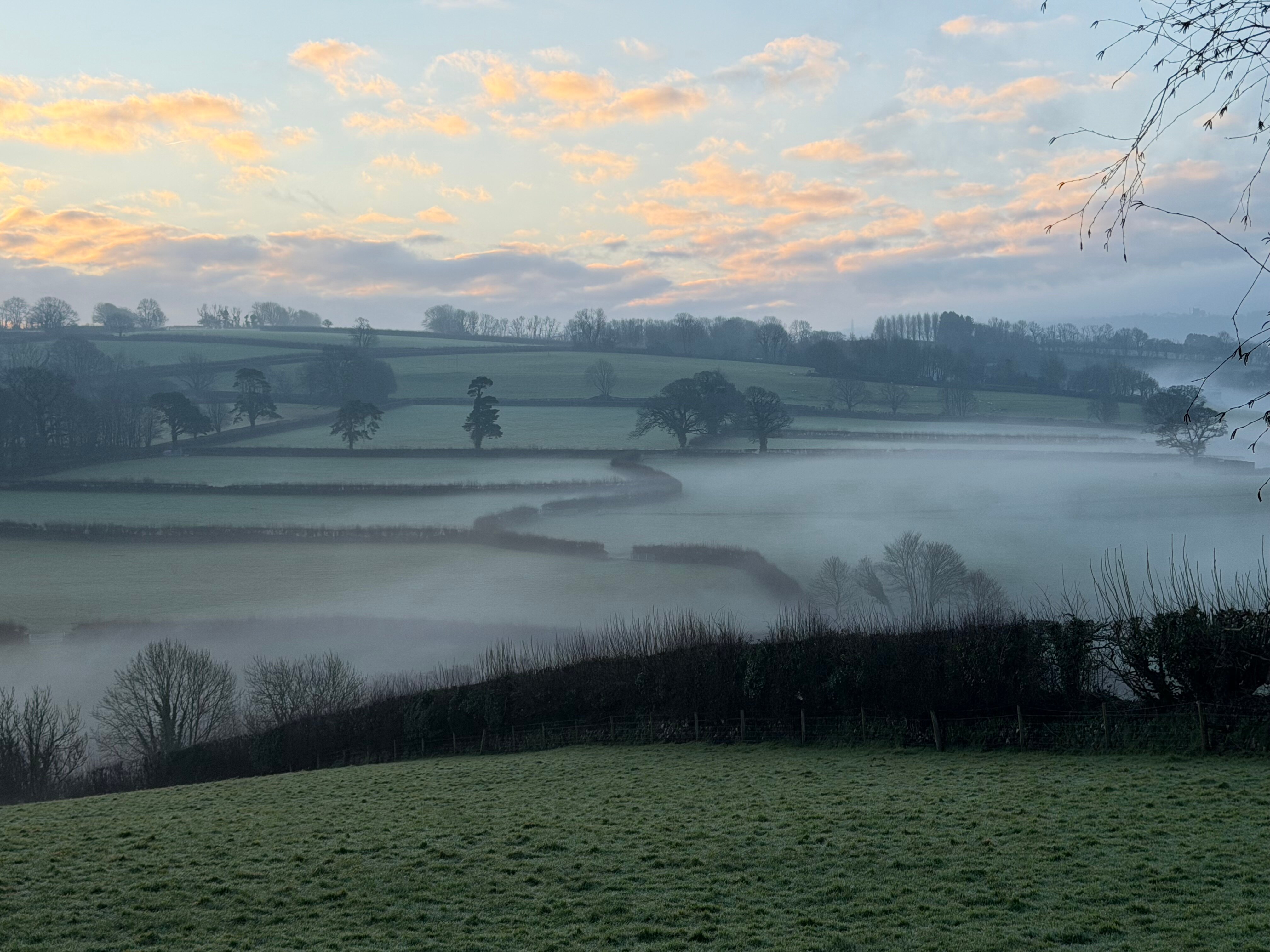 贝拉农场旅馆-官方
