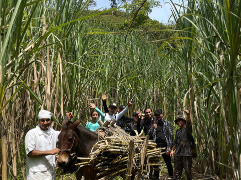 Ruta agroturistica El Palmar-San Rafael必去景点