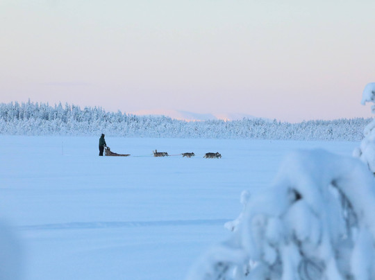 Tundra Huskies Huskyfarm-Levi必去景点
