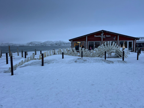 Skelet Kita iz Leviafana