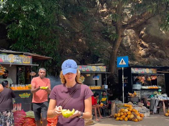 Rent A Tour Guide In Sri Lanka-卡图纳耶克必去景点