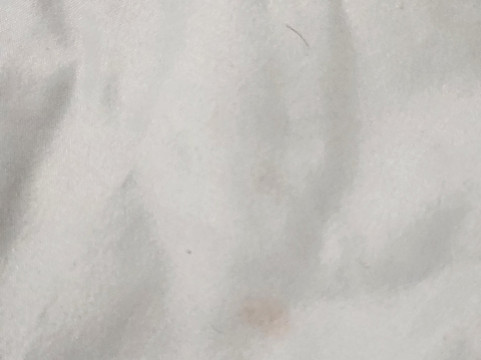 Quality Inn Franklin I-65主图