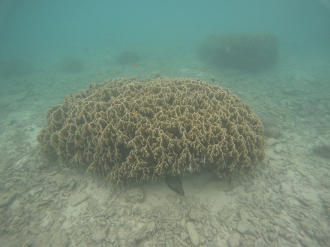 CSP Travel & Tours-宿雾市必去景点