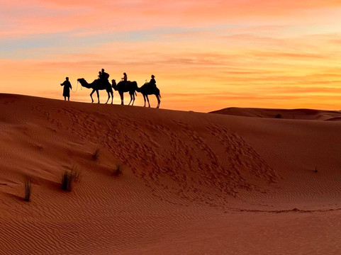 Marocco Tours-马拉喀什必去景点