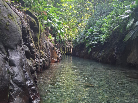 Canyon Moustique-Petit-Bourg必去景点