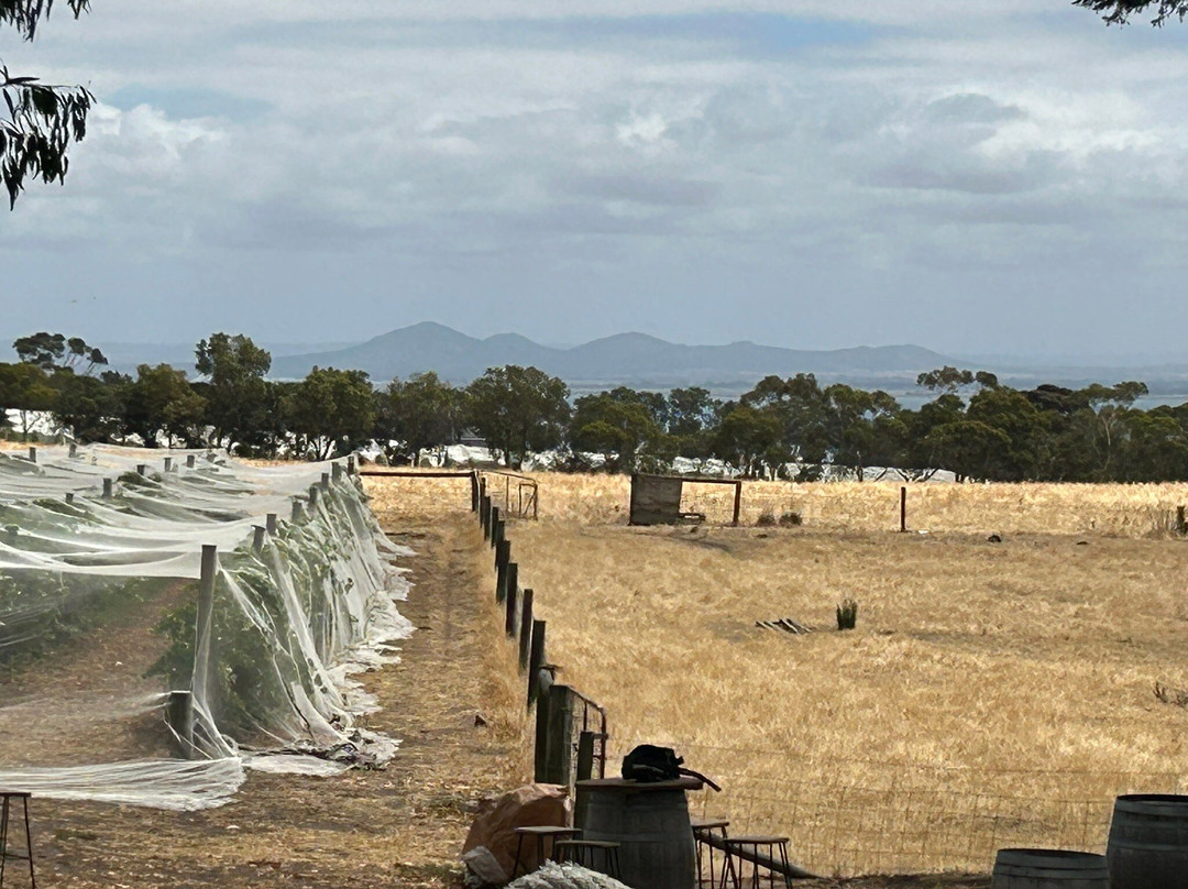 Bennetts on Bellarine-吉朗与贝拉里尼必去景点