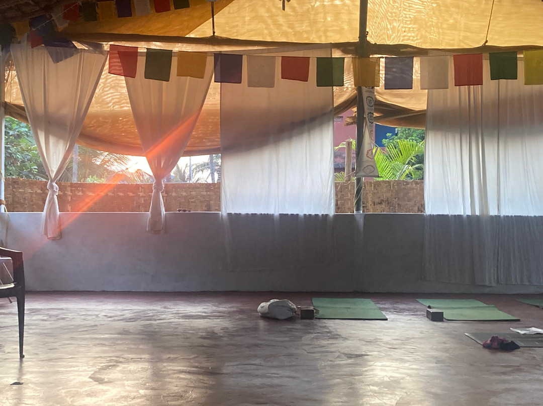 Goa Yogashala : Yoga Teacher Training in Goa India-格纳戈纳必去景点