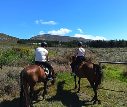 Heaven and Earth Trails-赫曼努斯必去景点
