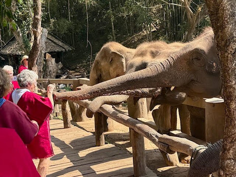 Elephant EcoValley-夜登必去景点