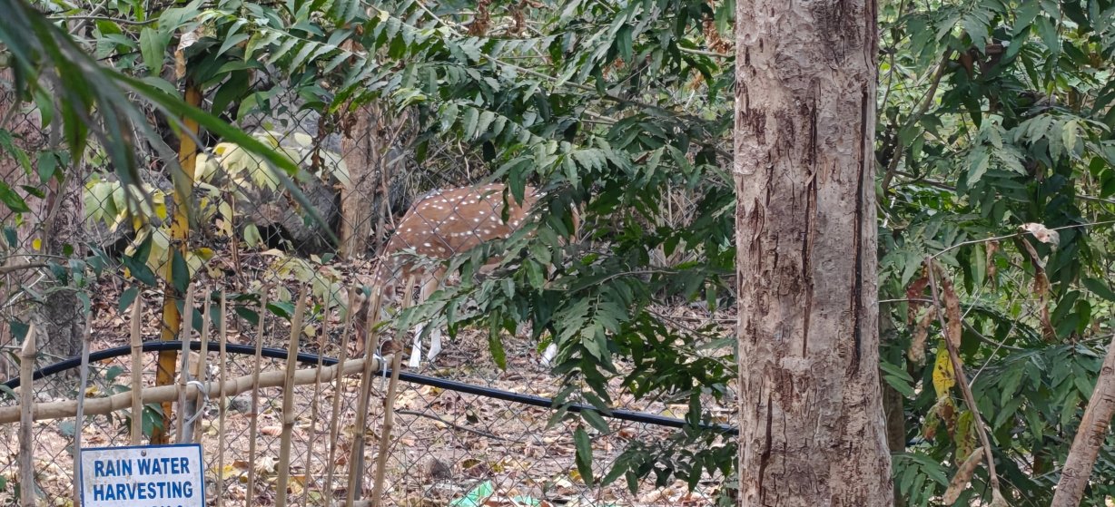 坎哈马辛德拉俱乐部酒店-浴室