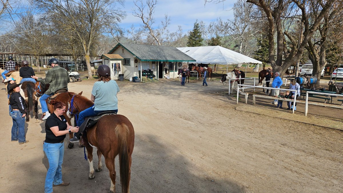 Wonder Valley Ranch Resort-官方
