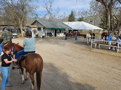 Wonder Valley Ranch Resort主图