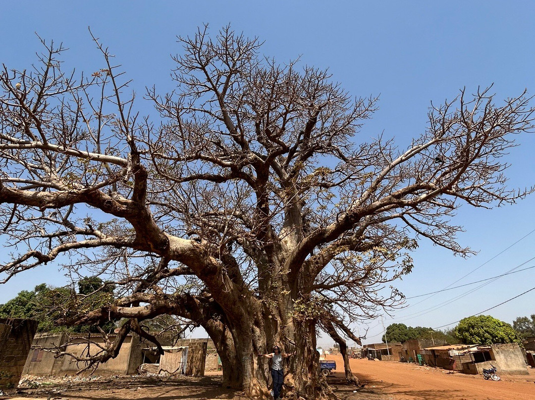 Royal Palace of Tiébélé-Tiebele必去景点