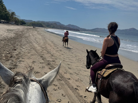 Tamarindo Dreamers Adventure-塔马林多必去景点