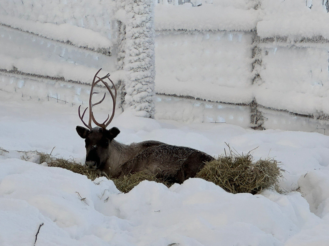 Kotatieva Winter Leisure Park-罗瓦涅米必去景点