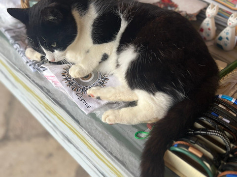 St. Nicholas of the Cats-Akrotiri必去景点