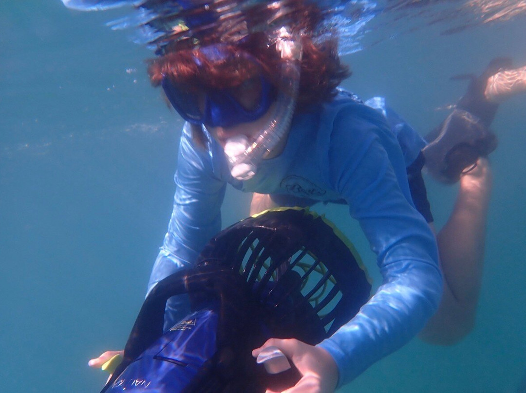 Scooter Snorkeling-英吉利海港必去景点