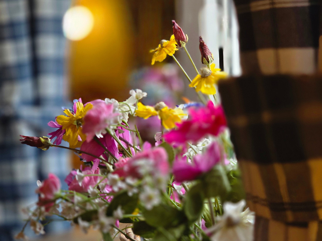 科勒索酒店主图