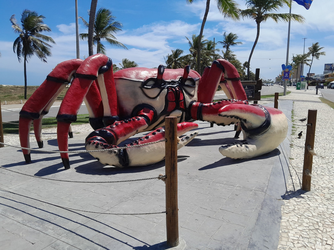 Passarela do Caranguejo-阿拉卡茹必去景点