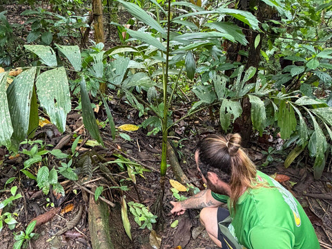 Cahuita Experience Surf School-卡维塔必去景点