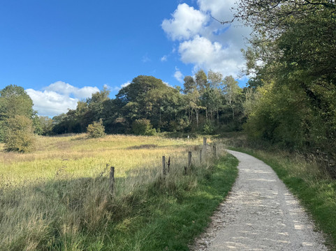 Carsington Water-阿什伯恩必去景点