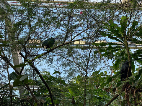 丹麦国家水族馆-哥本哈根必去景点