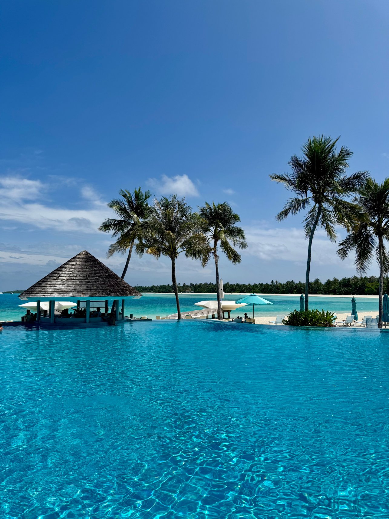 坎迪玛马尔代夫酒店-泳池