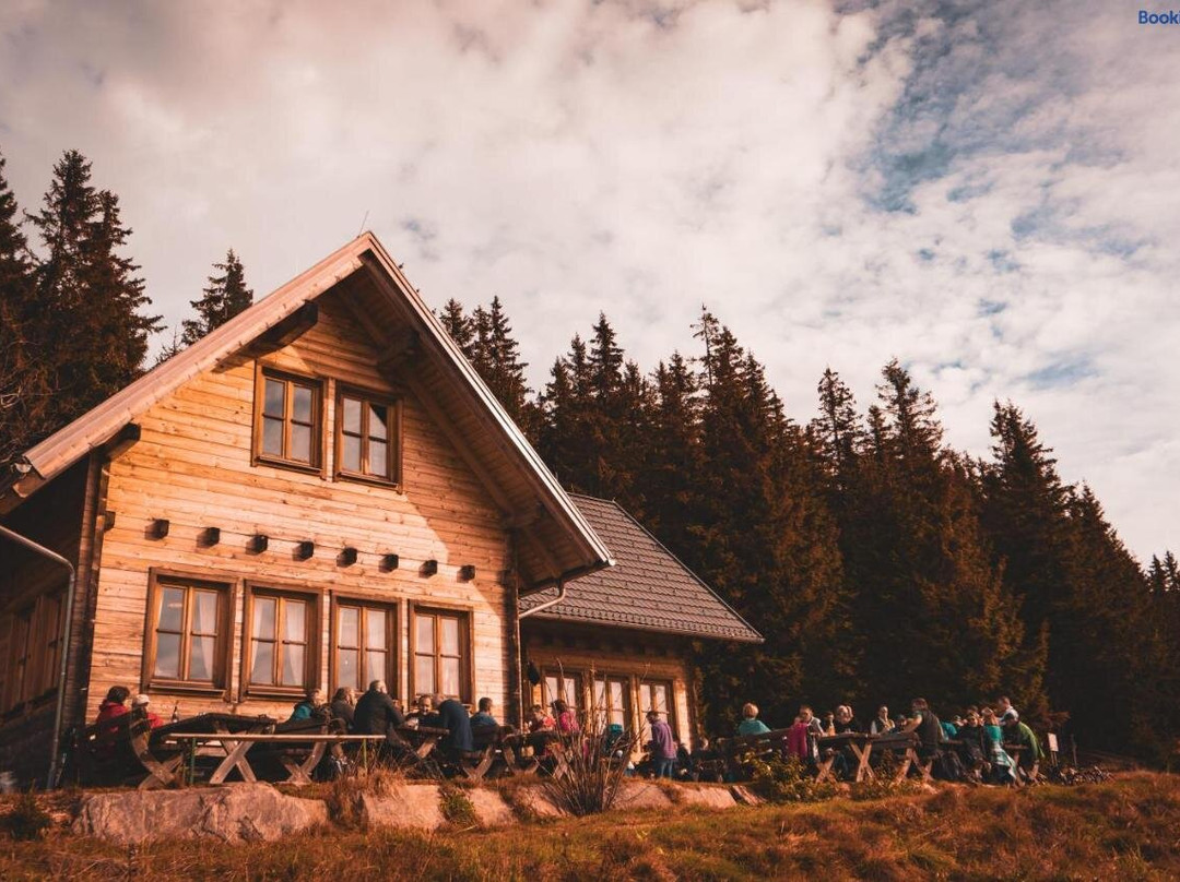 Glatzl Trahutten Alm