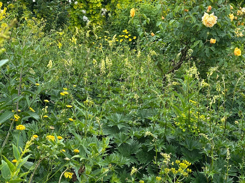 Burton Agnes Hall-Burton Agnes必去景点