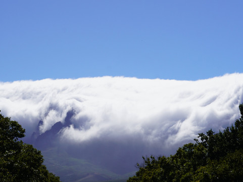 Bridge and Beyond-布莱恩斯顿必去景点
