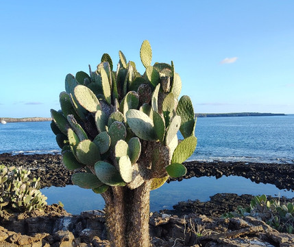 Fragata Yacht-Baltra必去景点