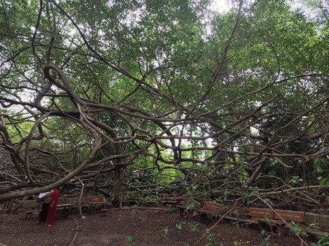 CHN Explore Mekong Delta-芹苴必去景点