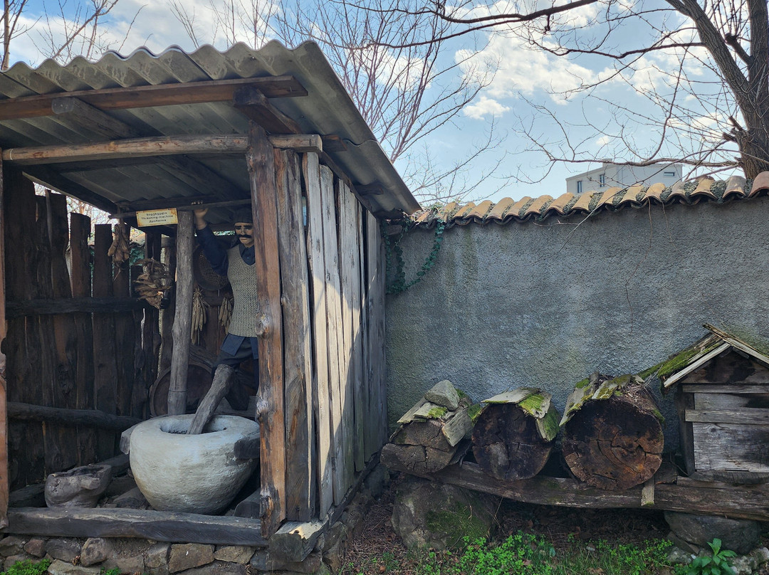 Ethnographic Museum "Borjgalo"-巴统必去景点