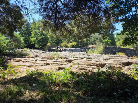 萨尔托拉哈酒店主图