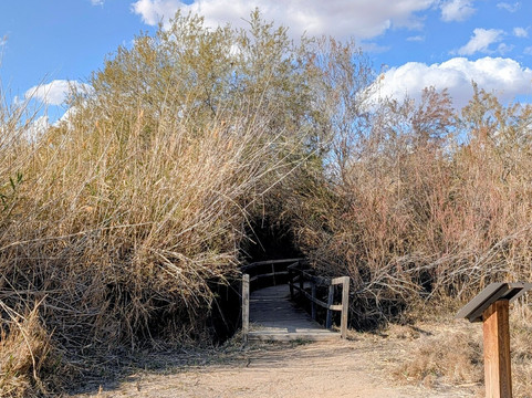 Azraq Wetland Reserve-Azraq必去景点